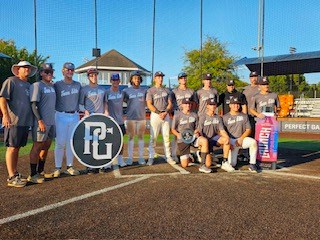 TE Platinum - Team Elite